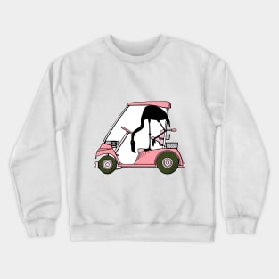 Golf Lovers Golf Humor with Flamingo Crewneck Sweatshirt